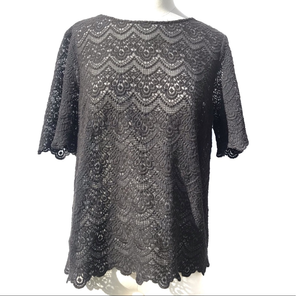 J. Crew Factory Grey Sheer Lace Top Size Medium